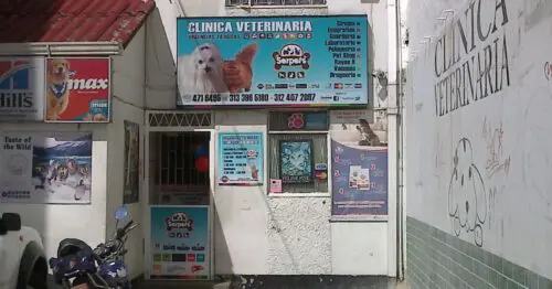 CLINICA VETERINARIA SERPETS CLINICA VETERINARIA SERPETS